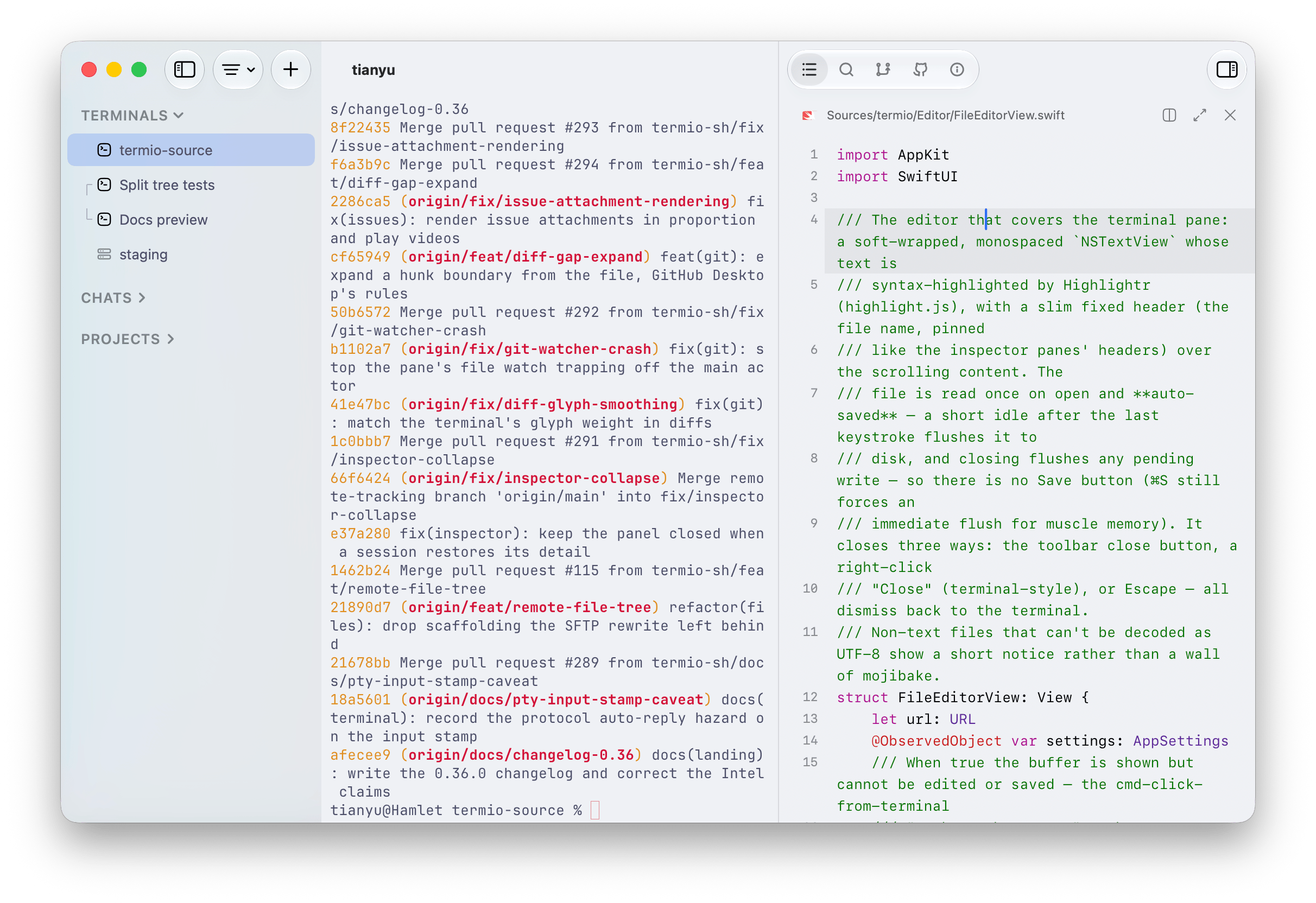 The Fyolo Files inspector with a Swift file selected and open in the syntax-highlighted editor beside a terminal