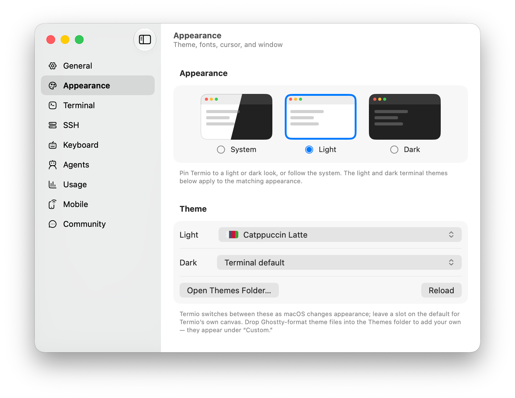 Fyolo Appearance settings with System, Light, and Dark modes and separate light and dark terminal theme slots