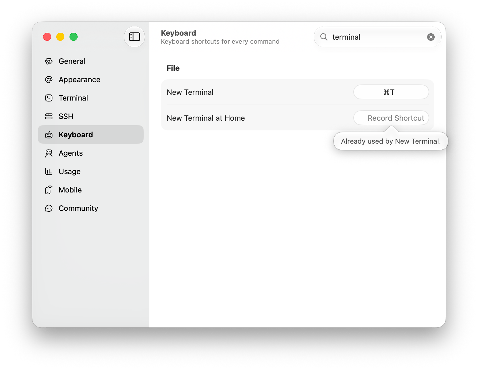 Fyolo Keyboard settings filtered to Terminal with a shortcut conflict shown beside the edited binding