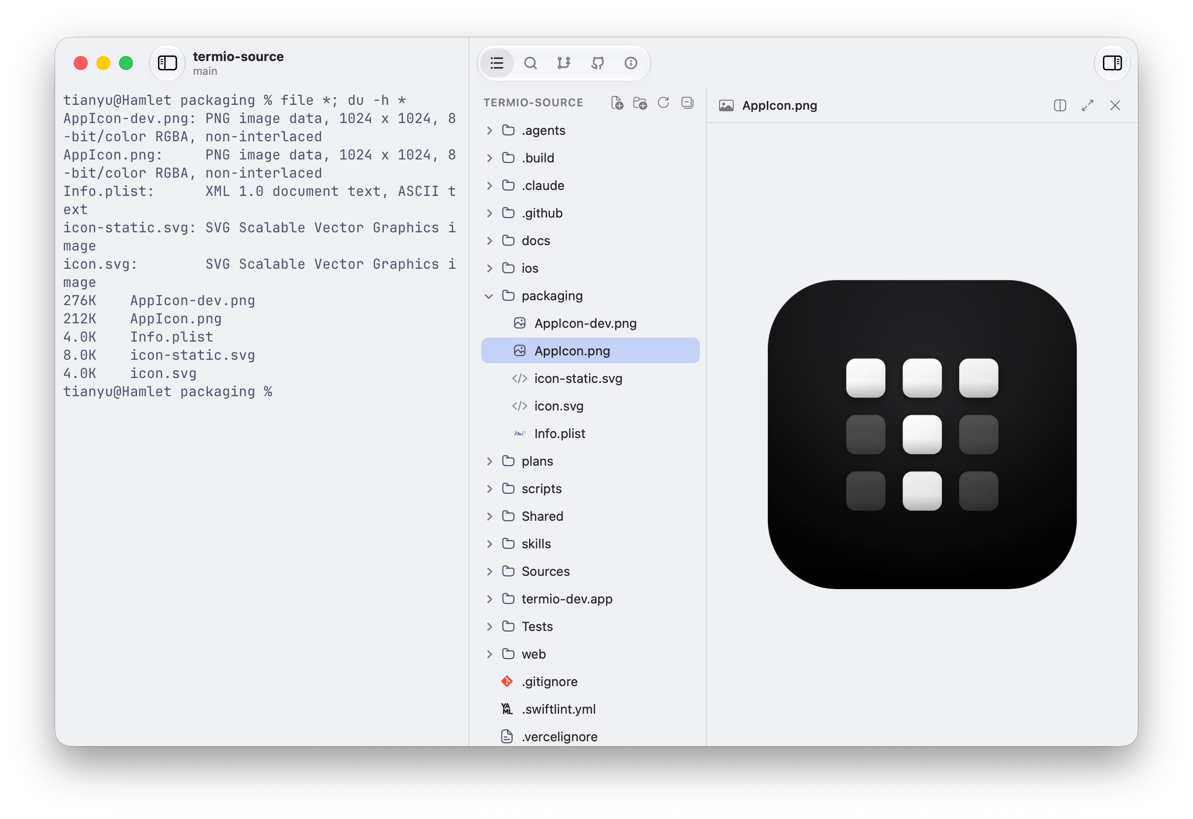A file selected in the Fyolo Files inspector with its image open in a read-only Quick Look preview