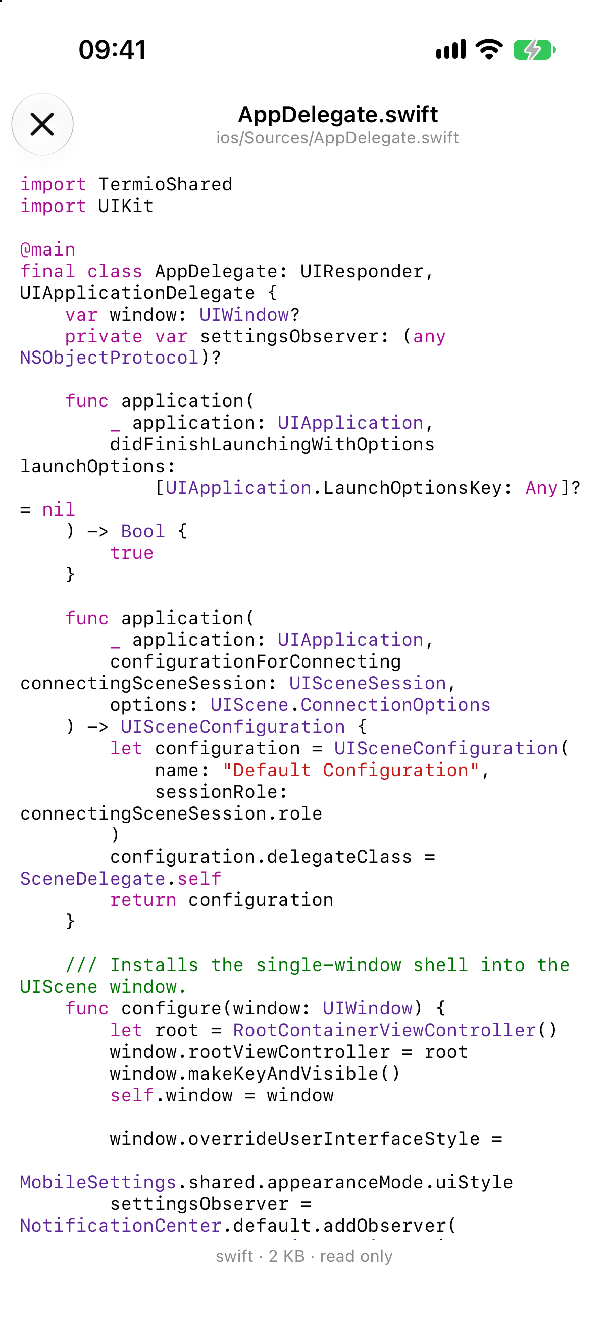 Fyolo on iPhone showing a read-only syntax-highlighted Swift file preview with file metadata
